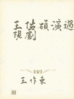 王佑硕演过的电视剧