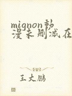 mignon动漫未删减在线观看免费
