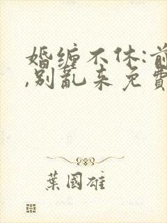 婚缠不休:前夫,别乱来免费阅读