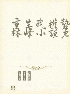 重生我权势滔天林峰小说免费阅读