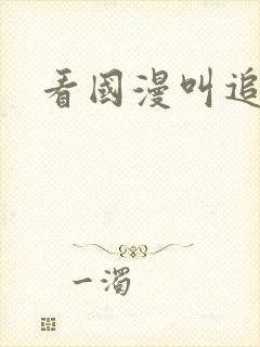 看国漫叫追番吗