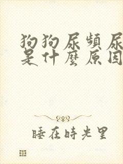 狗狗尿频尿味大是什么原因