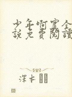 少年啊宾全文小说免费阅读笔趣阁