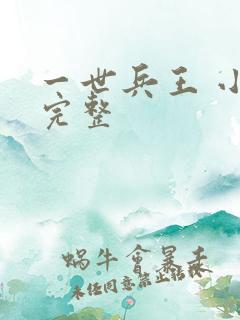 一世兵王 小说完整