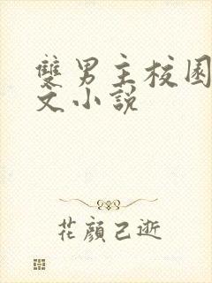 双男主校园穿书文小说