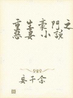 重生豪门之独宠恶妻 小说