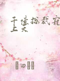 千亿总裁宠妻宠上天