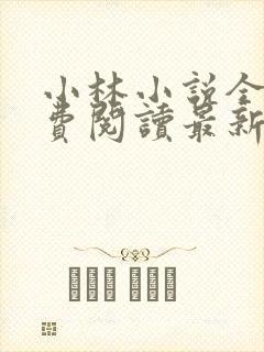 小林小说全文免费阅读最新章节阅读