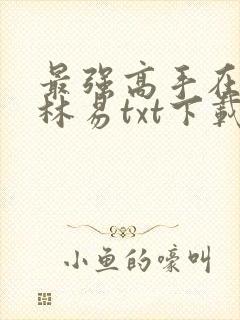 最强高手在都市林易txt下载