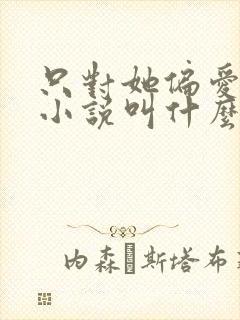 只对她偏爱原著小说叫什么名字
