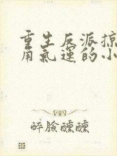 重生反派掠夺主角气运的小说