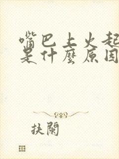 嘴巴上火起水泡是什么原因引起的