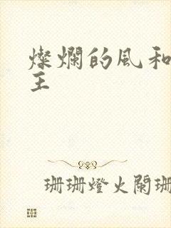 灿烂的风和海女主