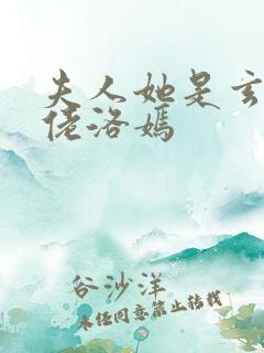 夫人她是玄学大佬洛嫣