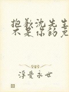 抱歉沈先生孩子不是你的免费看