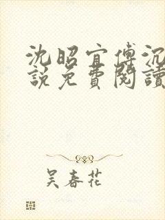 沈昭宜傅沉砚小说免费阅读