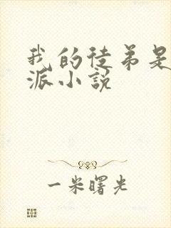 我的徒弟是大反派小说