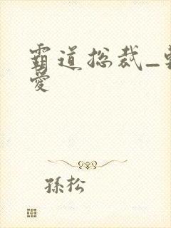 霸道总裁_轻点爱