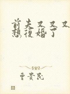 前夫又又又又又想复婚了