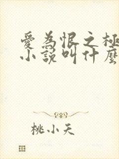 爱为恨之极原著小说叫什么名字