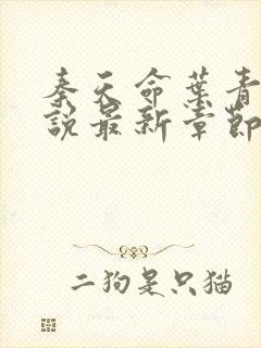 秦天命叶青鸾小说最新章节更新