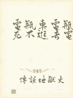 电瓶车电瓶亏电充不进去电怎么办