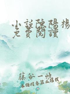 小说陈阳杨晓雪免费阅读