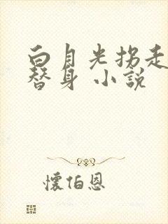 白月光拐走了小替身 小说