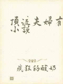 顶流夫妇有点甜小说