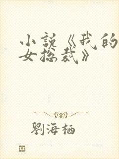 小说《我的傲娇女总裁》