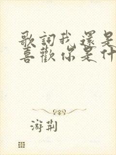 歌词我还是那么喜欢你是什么歌