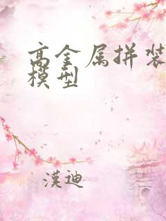 高金属拼装难度模型