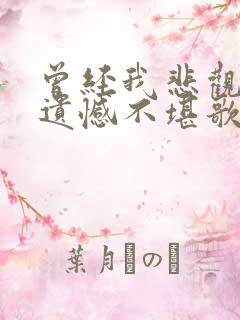 曾经我悲观孤单遗憾不堪歌词