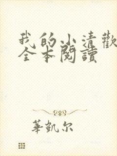 我的小清欢在线全本阅读