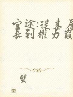 官途:从基层科长到权力巅峰