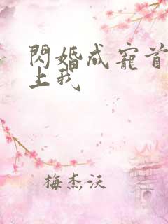 闪婚成宠首富爱上我