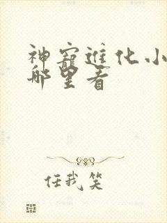 神宠进化小说在哪里看