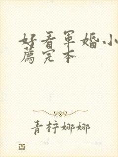 好看军婚小说推荐完本