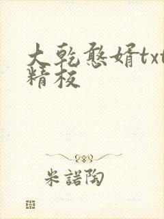 大乾憨婿txt精校