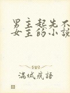 男主起先不喜欢女主的小说