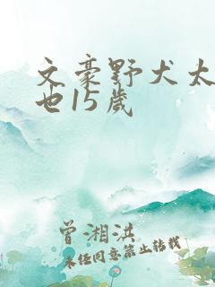 文豪野犬太宰中也15岁