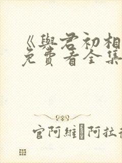 《与君初相识》免费看全集