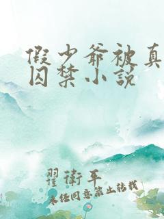 假少爷被真少爷囚禁小说