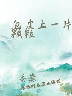 包皮上一片黄色颗粒