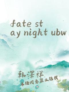 fate stay night ubw