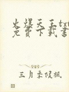 火爆天王txt免费下载书包网