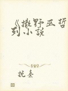 《撒野巫哲》系列小说