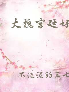 大魏宫廷好看吗