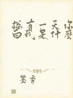 总有一天你会明白我是什么歌