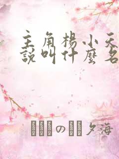 主角杨小天的小说叫什么名字